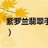 紫罗兰翡翠手镯多少钱一个（紫罗兰翡翠手镯）