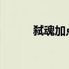 弑魂加点2021（弑魂刷图加点）
