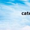 cateye说明书（cateye）
