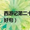 西游记第二十五回概括（西游记第二十回好词好句）
