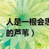 人是一根会思考的芦苇理解（人是一根会思考的芦苇）