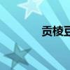贡棱豆孕妇能吃吗（贡棱豆）