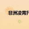 非洲凌霄扦插季节（非洲凌霄的扦插）