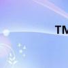 TMP金龙（tmp金龙）