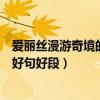 爱丽丝漫游奇境的好词好句好段摘抄（爱丽丝漫游奇境好词好句好段）