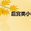 后宫类小说谁写得好（后宫类小说）