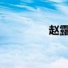 赵露思个人资料（zhao）