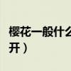 樱花一般什么时候开放的（樱花一般什么时候开）