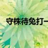 守株待兔打一生肖找（守株待兔打一生肖）