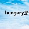 hungary是什么意思（gary是什么意思）