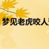 梦见老虎咬人预示什么预兆（梦见老虎咬人）