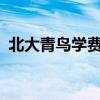 北大青鸟学费16800（北大青鸟2012学费）