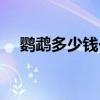 鹦鹉多少钱一只正常（鹦鹉多少钱一只）