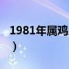1981年属鸡人婚姻男（1981年属鸡的人婚姻）