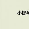 小提琴木头材质（木头材质）