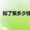知了猴多少钱一斤2023（懒猴多少钱一只）