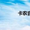 卡农音乐听后感（卡农音乐）