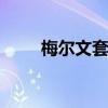 梅尔文套装（dnf梅尔文的高科技）
