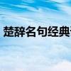 楚辞名句经典语录解析（楚辞名句取名大全）