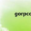 gorpcore音标读音（音标读音）