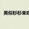 类似杉杉来吃的小说甜宠（类似杉杉来吃）