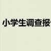 小学生调查报告格式模板（小学生调查报告）