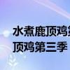水煮鹿顶鸡第三季有木有啊 坑爹啊（水煮鹿顶鸡第三季）