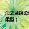 海之蓝绵柔型46度480ml多少钱（海之蓝绵柔型）