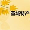 宣城特产有哪些值得带（宣城特产）