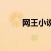 网王小说之（网王之拐骗天然呆）