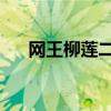 网王柳莲二bg（网王柳莲二一见钟情）