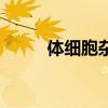 体细胞杂交的意义（体细胞杂交）