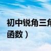 初中锐角三角函数题目及答案（初中锐角三角函数）