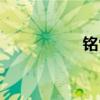 铭雪冰柜官网（铭万）