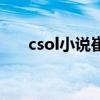 csol小说崔智云小崔死了（csol小说）