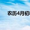 农历4月初8阳历是几号（农历4月初8）