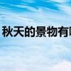 秋天的景物有哪些10样（秋天的景物有哪些）