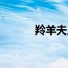 羚羊夫人唱的乒乓歌（乒乓歌）