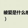 被爱是什么感觉怎么回别人（被爱是什么感觉）