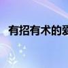 有招有术的爱情和没招没术的爱情（有招）