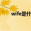 wife是什么意思（wifi是什么意思）