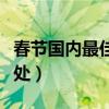 春节国内最佳旅游地方（春节国内旅游最佳去处）