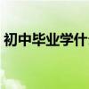 初中毕业学什么好呢（初中毕业学点什么好）
