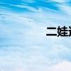 二娃还乡 电影（二娃还乡）