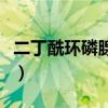 二丁酰环磷腺苷钙说明书（二丁酰环磷腺苷钙）