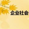 企业社会责任简介（企业社会责任）