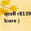 qcell r8139 多模机型支持光模块类型（qcellcore）
