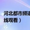 河北都市频道电视剧叫什么（河北都市频道在线观看）