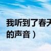 我听到了春天的声音是什么歌（我听到了春天的声音）