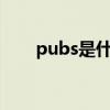 pubs是什么意思（pub是什么意思）